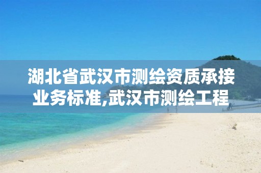 湖北省武汉市测绘资质承接业务标准,武汉市测绘工程技术规定