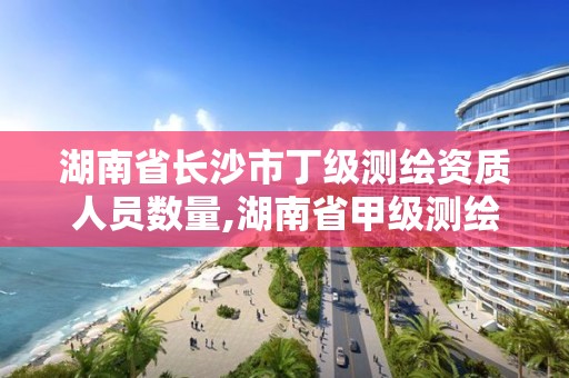 湖南省长沙市丁级测绘资质人员数量,湖南省甲级测绘单位