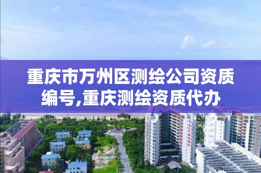 重庆市万州区测绘公司资质编号,重庆测绘资质代办