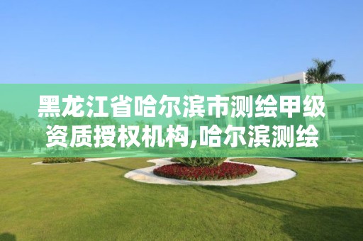 黑龙江省哈尔滨市测绘甲级资质授权机构,哈尔滨测绘局位置