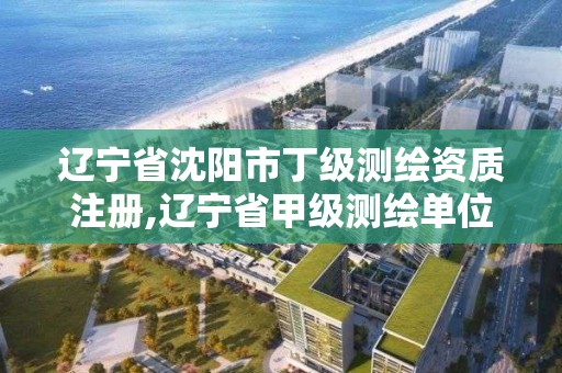 辽宁省沈阳市丁级测绘资质注册,辽宁省甲级测绘单位