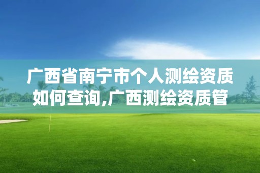 广西省南宁市个人测绘资质如何查询,广西测绘资质管理系统