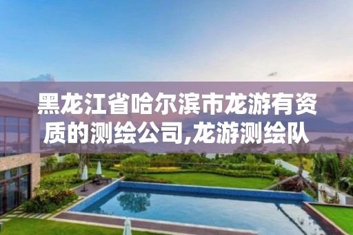 黑龙江省哈尔滨市龙游有资质的测绘公司,龙游测绘队张