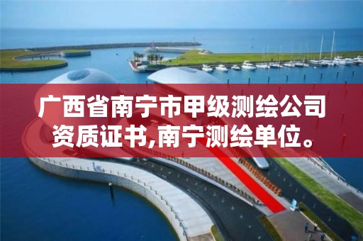 广西省南宁市甲级测绘公司资质证书,南宁测绘单位。