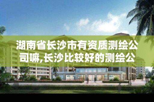 湖南省长沙市有资质测绘公司嘛,长沙比较好的测绘公司