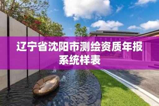 辽宁省沈阳市测绘资质年报系统样表