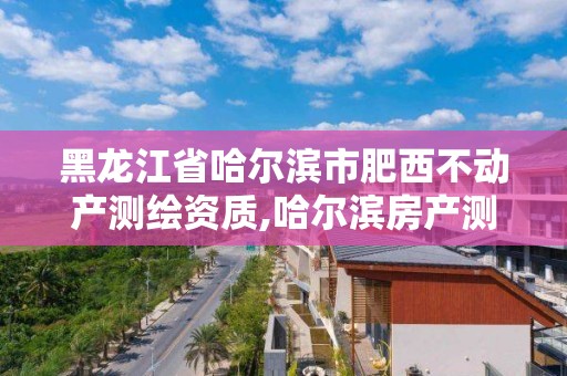 黑龙江省哈尔滨市肥西不动产测绘资质,哈尔滨房产测绘公司电话