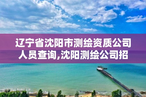 辽宁省沈阳市测绘资质公司人员查询,沈阳测绘公司招聘信息最新招聘