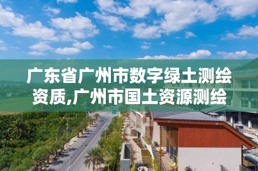 广东省广州市数字绿土测绘资质,广州市国土资源测绘院