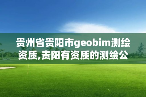 贵州省贵阳市geobim测绘资质,贵阳有资质的测绘公司