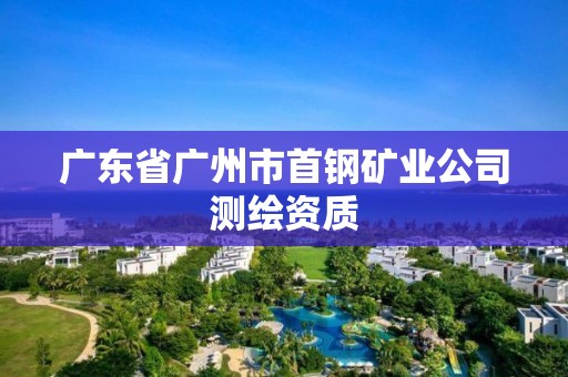 广东省广州市首钢矿业公司测绘资质