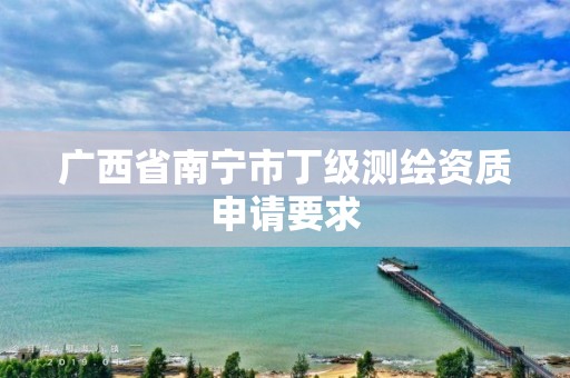 广西省南宁市丁级测绘资质申请要求