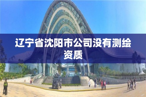 辽宁省沈阳市公司没有测绘资质