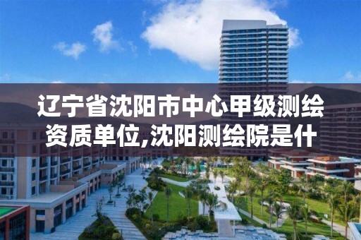 辽宁省沈阳市中心甲级测绘资质单位,沈阳测绘院是什么单位