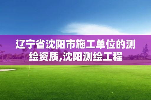 辽宁省沈阳市施工单位的测绘资质,沈阳测绘工程