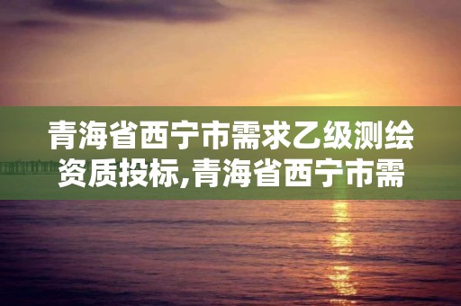 青海省西宁市需求乙级测绘资质投标,青海省西宁市需求乙级测绘资质投标单位