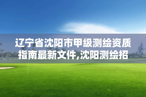 辽宁省沈阳市甲级测绘资质指南最新文件,沈阳测绘招聘。