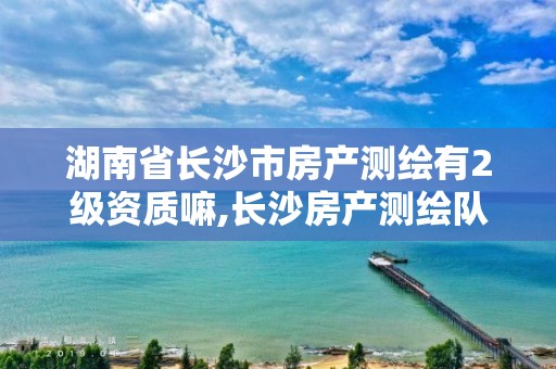 湖南省长沙市房产测绘有2级资质嘛,长沙房产测绘队。