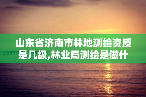 山东省济南市林地测绘资质是几级,林业局测绘是做什么的