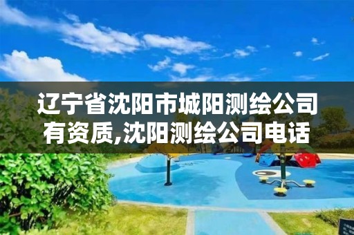 辽宁省沈阳市城阳测绘公司有资质,沈阳测绘公司电话