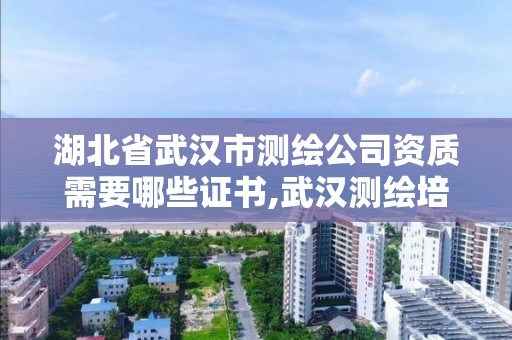 湖北省武汉市测绘公司资质需要哪些证书,武汉测绘培训机构。