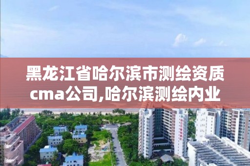 黑龙江省哈尔滨市测绘资质cma公司,哈尔滨测绘内业招聘信息