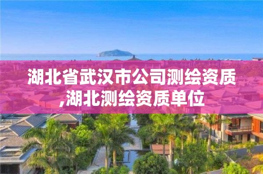 湖北省武汉市公司测绘资质,湖北测绘资质单位