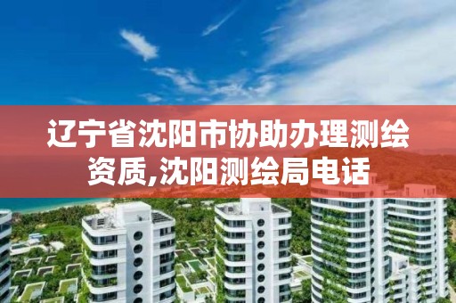 辽宁省沈阳市协助办理测绘资质,沈阳测绘局电话