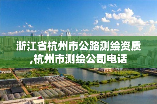 浙江省杭州市公路测绘资质,杭州市测绘公司电话