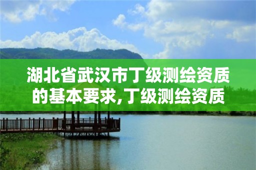 湖北省武汉市丁级测绘资质的基本要求,丁级测绘资质人员要求。