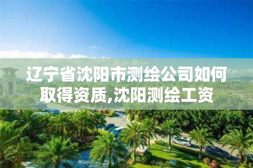 辽宁省沈阳市测绘公司如何取得资质,沈阳测绘工资