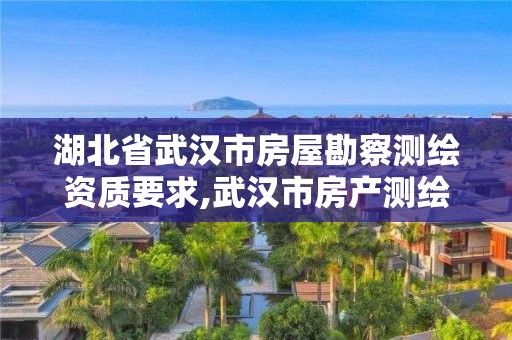 湖北省武汉市房屋勘察测绘资质要求,武汉市房产测绘中心是什么性质