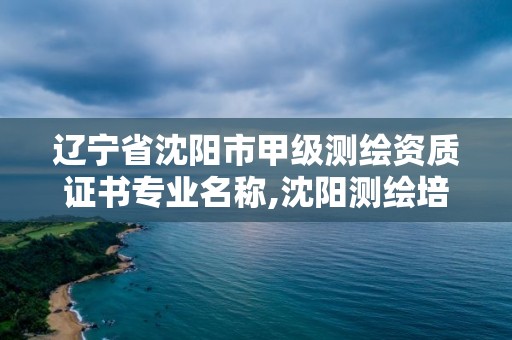 辽宁省沈阳市甲级测绘资质证书专业名称,沈阳测绘培训