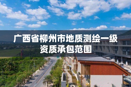 广西省柳州市地质测绘一级资质承包范围