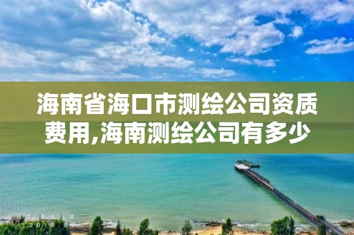 海南省海口市测绘公司资质费用,海南测绘公司有多少家