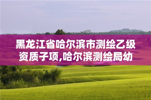 黑龙江省哈尔滨市测绘乙级资质子项,哈尔滨测绘局幼儿园是民办还是公办