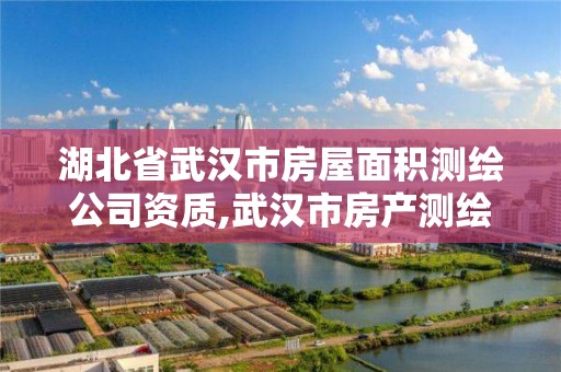 湖北省武汉市房屋面积测绘公司资质,武汉市房产测绘实施细则。