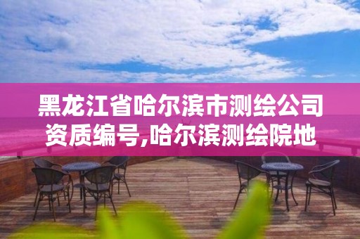 黑龙江省哈尔滨市测绘公司资质编号,哈尔滨测绘院地址