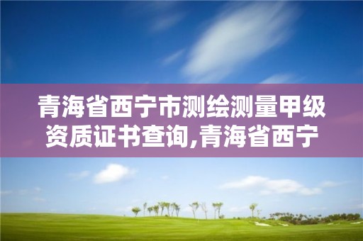 青海省西宁市测绘测量甲级资质证书查询,青海省西宁市测绘院。