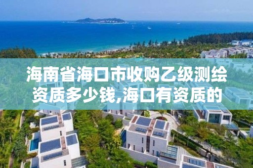 海南省海口市收购乙级测绘资质多少钱,海口有资质的测绘公司。