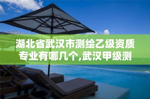 湖北省武汉市测绘乙级资质专业有哪几个,武汉甲级测绘资质名录。