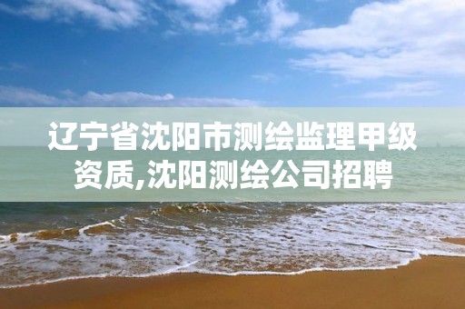 辽宁省沈阳市测绘监理甲级资质,沈阳测绘公司招聘