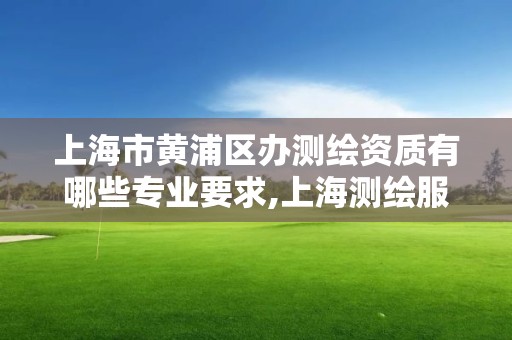 上海市黄浦区办测绘资质有哪些专业要求,上海测绘服务中心。