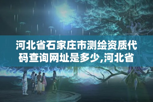 河北省石家庄市测绘资质代码查询网址是多少,河北省石家庄市测绘资质代码查询网址是多少号。