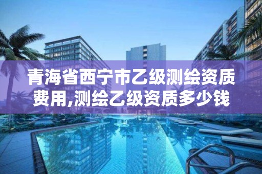 青海省西宁市乙级测绘资质费用,测绘乙级资质多少钱