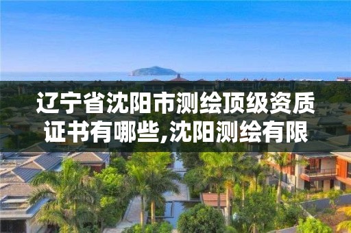 辽宁省沈阳市测绘顶级资质证书有哪些,沈阳测绘有限公司。