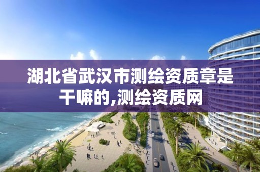 湖北省武汉市测绘资质章是干嘛的,测绘资质网