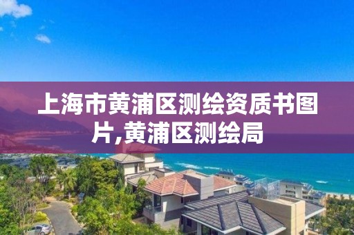 上海市黄浦区测绘资质书图片,黄浦区测绘局