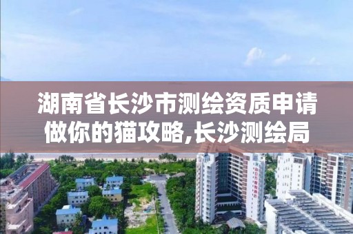 湖南省长沙市测绘资质申请做你的猫攻略,长沙测绘局在哪。