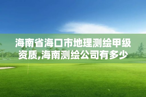 海南省海口市地理测绘甲级资质,海南测绘公司有多少家